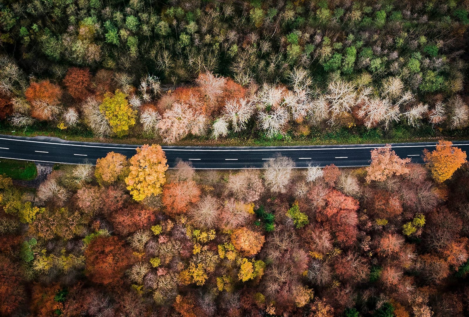 The Four Seasons on a Road by Fabio Jock
